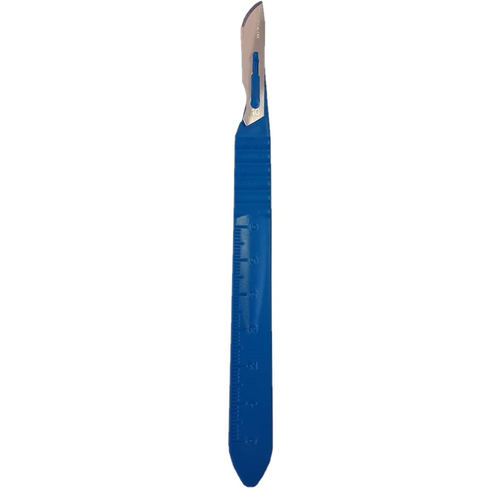 Scalpel Exel No. 10 Stainless Steel / Plastic Classic Grip Handle Sterile Disposable (10/BX 10BX/CS) by Exel Corporation  ID 29550